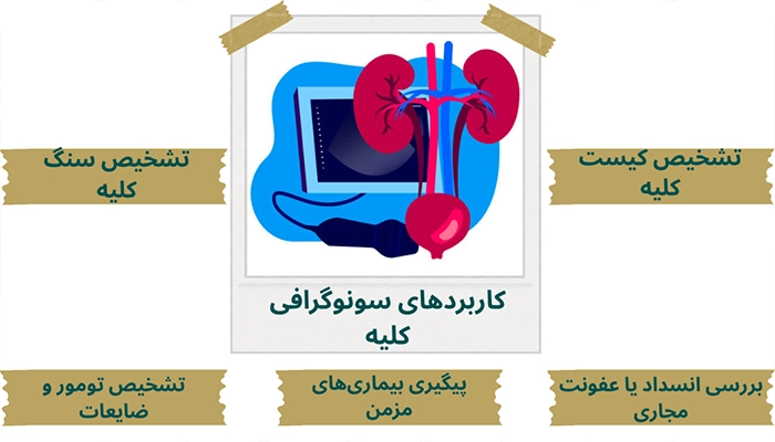 کاربردهای سونوگرافی کلیه