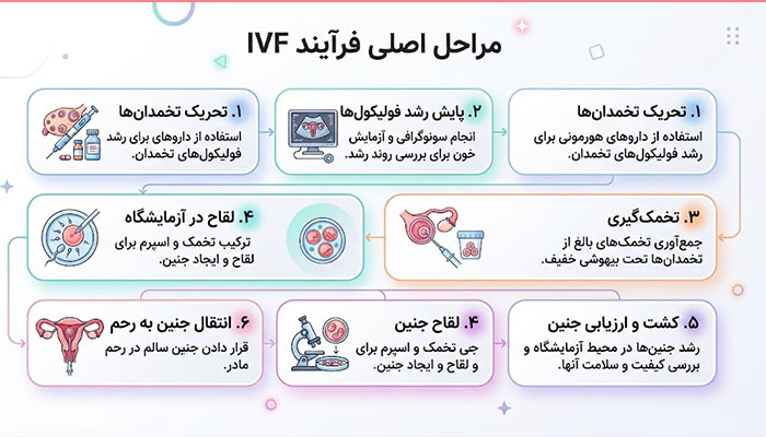 مراحل اصلی فرآیند IVF
