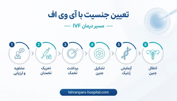 مسیر تعیین جنسیت با ای وی اف