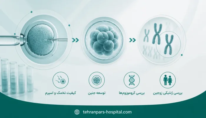 نمای توضیحی درباره چه زمانی بررسی ژنتیکی زوجین مطرح میشود