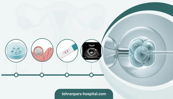 چرا زمان سقط اهمیت دارد — مراحل تشخیص بارداری و زمانبندی سقط پس از IVF